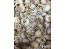 ������ ���������� 4 �������, 107���. �� 450� (�������� 7�� �� 450�)