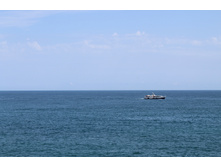 IMG 8926.JPG