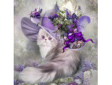 11,0 - 17�17��, 23,0 - 30�40��