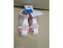 26 ������