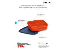 ��������� � ������������ "��������" (550 ��) - 300 ���