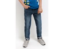 20110160161   Gozo          (      ).jpg