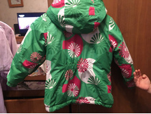 ������ Icepeak 92�