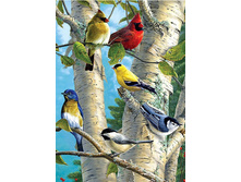 14,0 - 20�25��, 52,0 - 50�70��