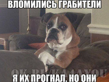 38474971 239402280229692 764669749677260800 n.jpg