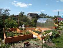 ���� ������))