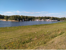 IMG 20180811 154719.jpg