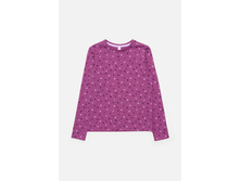 10210100043   Pear0   ��������(���).jpg