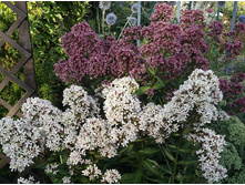 ������ ��� ������ � ������� ������