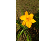 P 20180805 111914.jpg