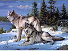 13,0 - 20�15��, 30,0-45�35��, 80,0 - 80�60��