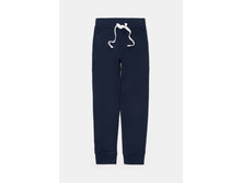 10210160003   Ananas   �����-�������(���).jpg