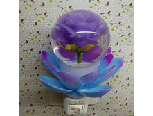 � �� ����