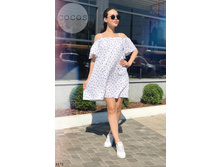 Plate-6173.jpg  1163���