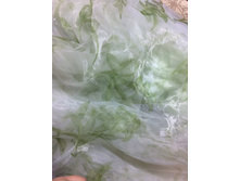 IMG 1497-18-11-17-06-49.JPG