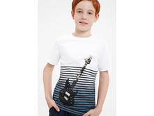 10110110041      .jpg