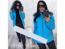 ������ 2894