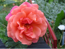 ���� ��� ��� �� (Easy Does It) / ������