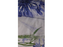 ����� ���� ���� ��������