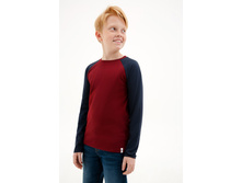 10110100025   Garlic set   �������(������).jpg