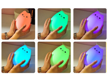 � ����.����