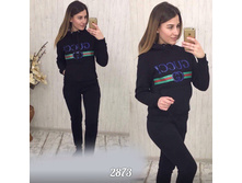 ������ 2873