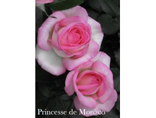 ���� Princesse de Monaco (�������� 7��).jpeg
