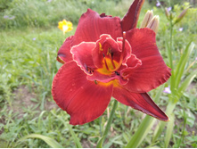 IMG 20180720 155230.jpg