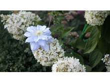 �������� Mazury Crater Lake � ��������� ����������� �����������