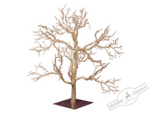 01320TR BEP ������ ������������ ��������� ������� (��������� ��� ���������), 81 ��