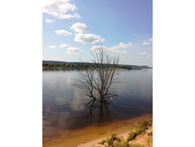 IMG 20180819 104142 001 COVER.jpg