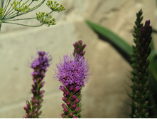 ������� ��������� �������.JPG