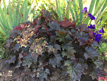 ������� 100�.