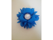 IMG 20180811 104719.jpg