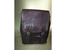 ����� ����� �������