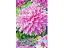 �������� ��������� ����������