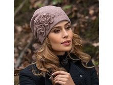 DIPSI ����� �������-1900 ���