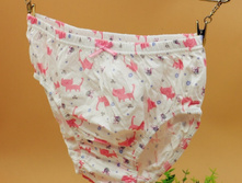 � ����.����