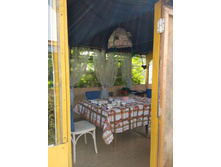 ������ �������