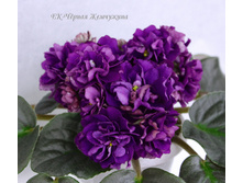 ��-������ ���������.JPG