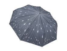 Zont-zhenskiy-536-dolphin-3-sl-s-a-8-spits-satin 2.jpg