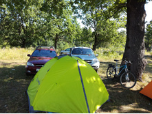 IMG 20180819 100912.jpg