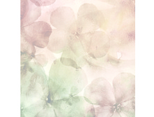 Mozart Inspiration Summer 2018-206.jpg