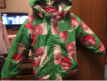 ������ Icepeak 92�