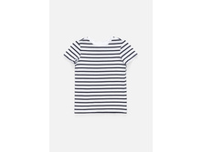 10220110001   Apple   �����(���).jpg