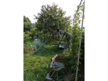 ����� ��� ������ (������� ������, ����-������) �� �����