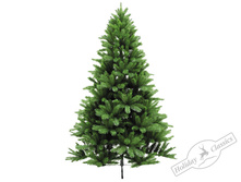 ����� "���������"