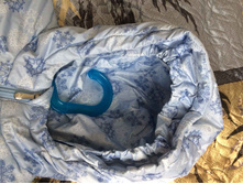 ������� � ���� ������� �� �����