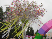 DSCN2519.JPG