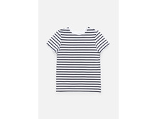 10210110002   Apple        (   ).jpg